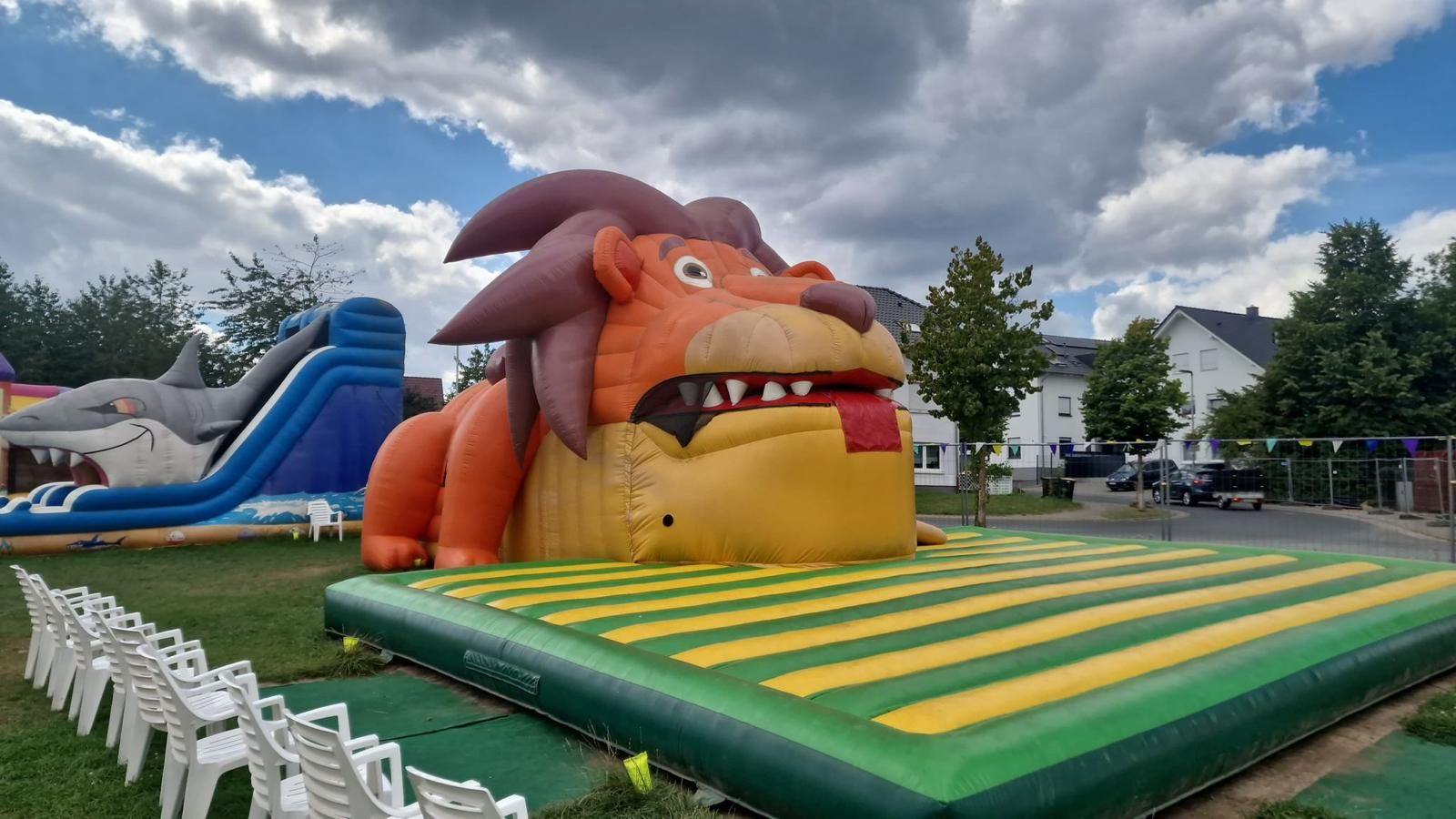 XXL Snappy Löwe gebraucht